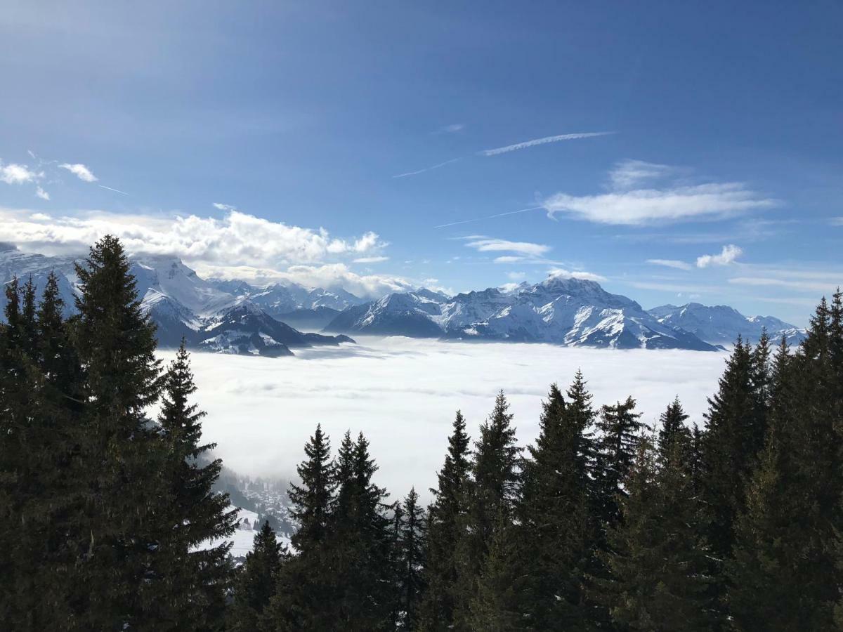 Chalet Rouge Coeur ベー エクステリア 写真